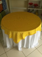 /album/cobre-manchas/cobre-mancha-amarelo-cetim-jpg1/